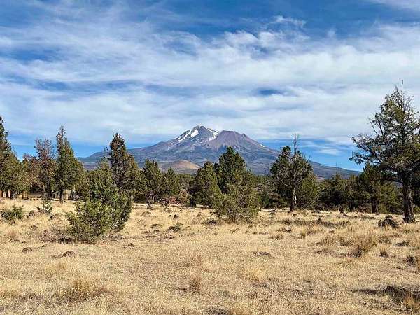 0.25 Acres of Residential Land for Sale in Weed, California