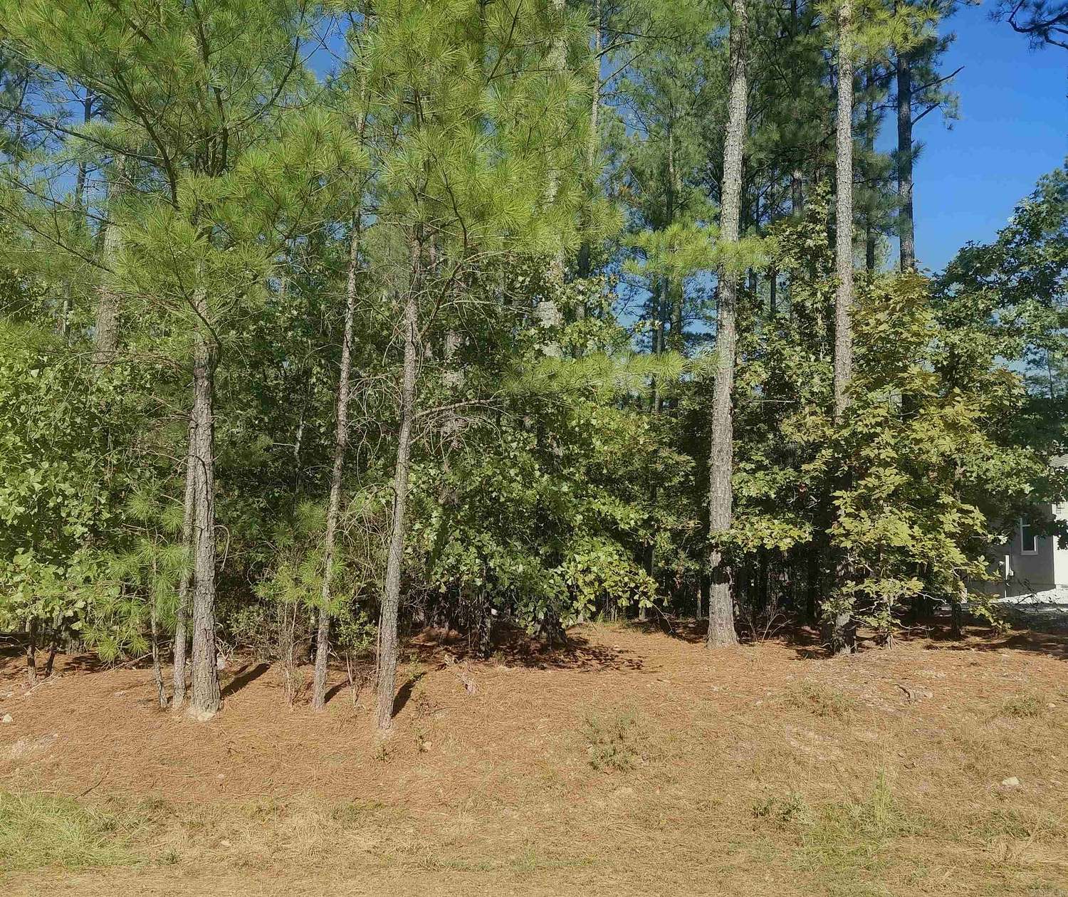 0.4 Acres of Residential Land for Sale in Hot Springs Village, Arkansas