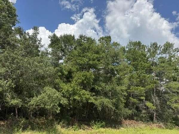 0.46 Acres of Residential Land for Sale in Navarre, Florida