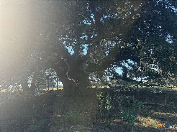 11 Acres of Land for Sale in Stockdale, Texas