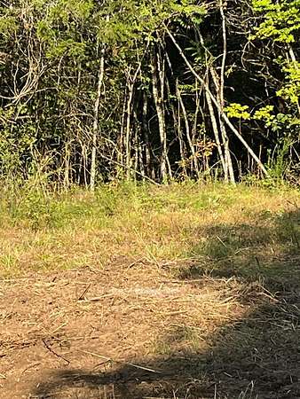 11.5 Acres of Recreational & Residential Land for Sale in Burkesville, Kentucky