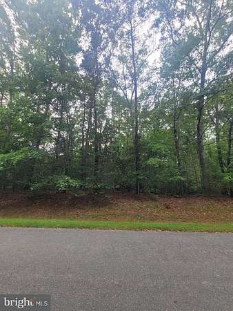 1.66 Acres of Residential Land for Sale in Mineral, Virginia