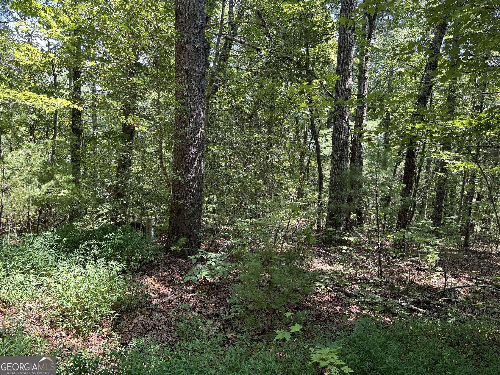 3.25 Acres of Land for Sale in Helen, Georgia