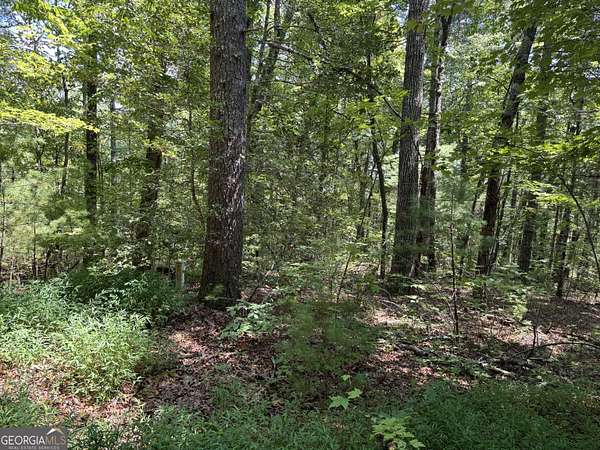 3.25 Acres of Land for Sale in Helen, Georgia