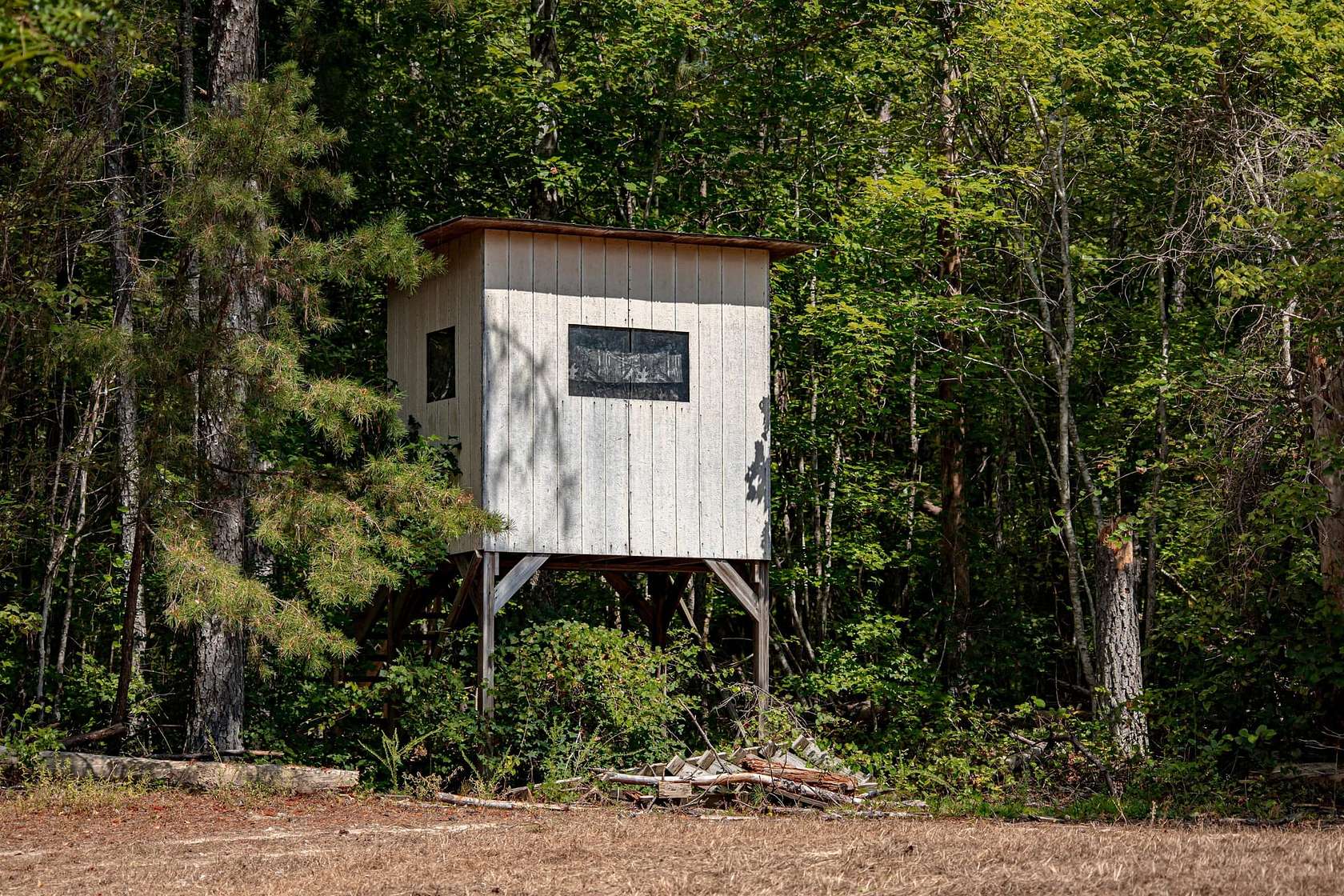 57 Acres of Recreational Land for Sale in Haleyville, Alabama