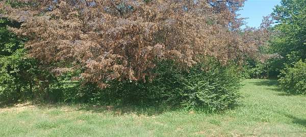 0.09 Acres of Residential Land for Sale in Alvarado, Texas