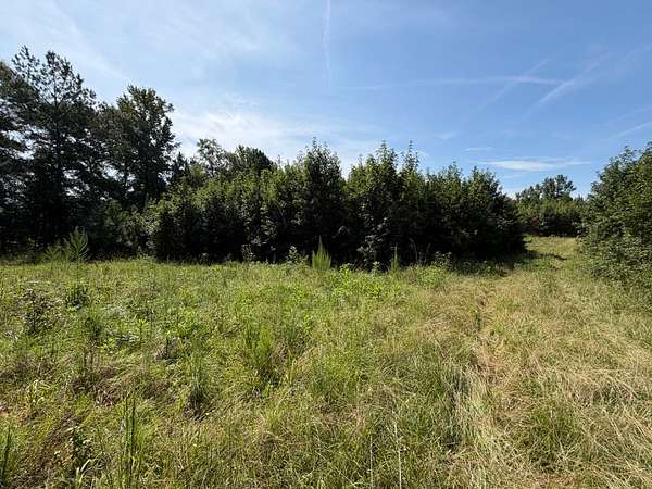 60 Acres of Recreational & Residential Land for Sale in Ashland, Alabama