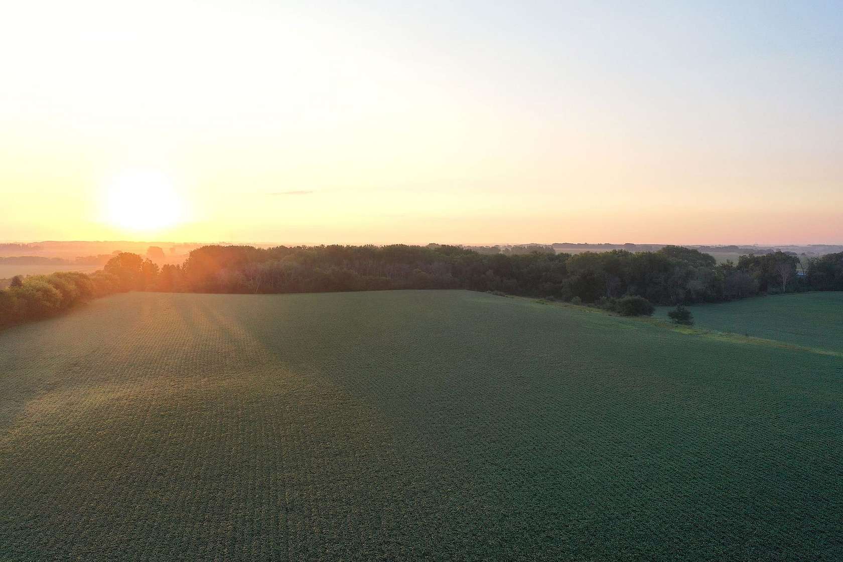 321 Acres of Land for Auction in Rockford, Iowa
