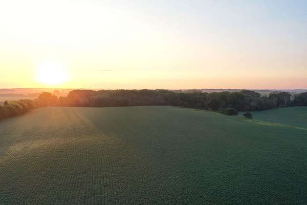 321 Acres of Land for Auction in Rockford, Iowa