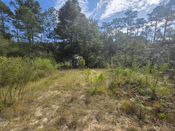 0.33 Acres of Residential Land for Sale in DeFuniak Springs, Florida