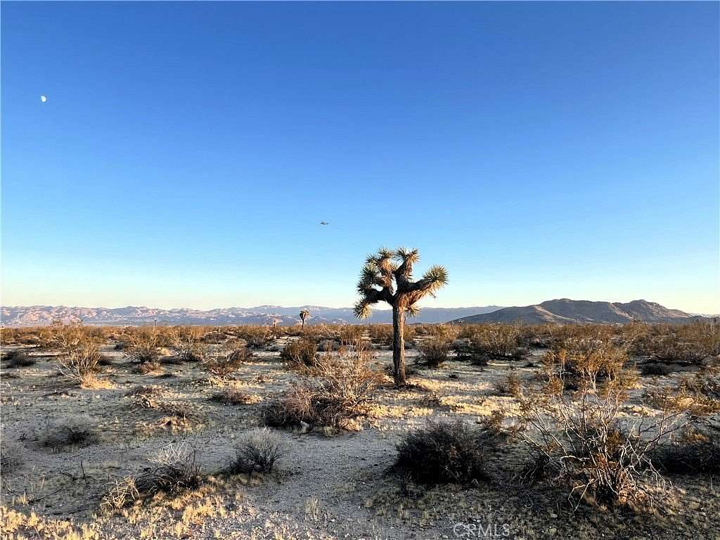 5 Acres of Residential Land for Sale in Joshua Tree, California