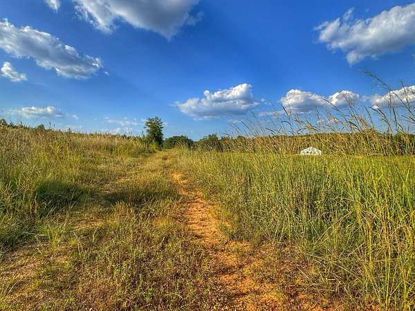 17.4 Acres of Agricultural Land for Sale in Winfield, Alabama