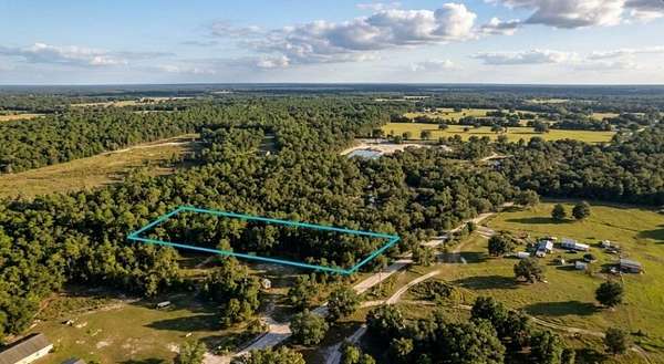 1.24 Acres of Land for Sale in Fort McCoy, Florida