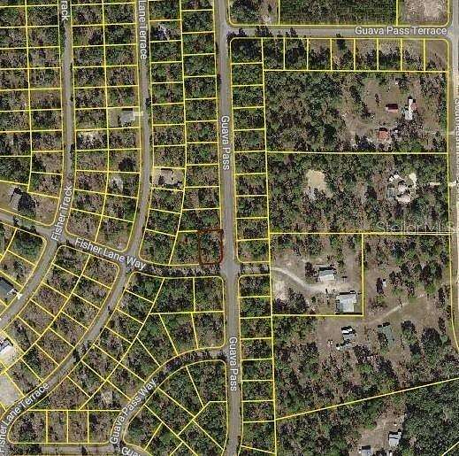 0.24 Acres of Land for Sale in Ocklawaha, Florida