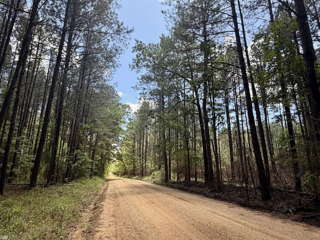 5 Acres of Residential Land for Sale in Lake, Mississippi