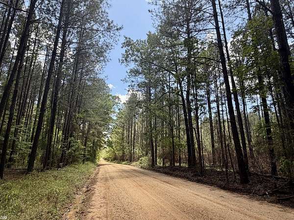 5 Acres of Residential Land for Sale in Lake, Mississippi