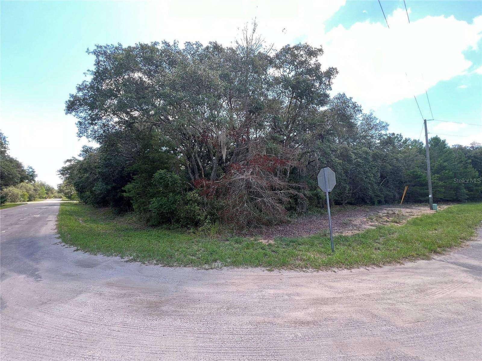 0.25 Acres of Land for Sale in Ocklawaha, Florida
