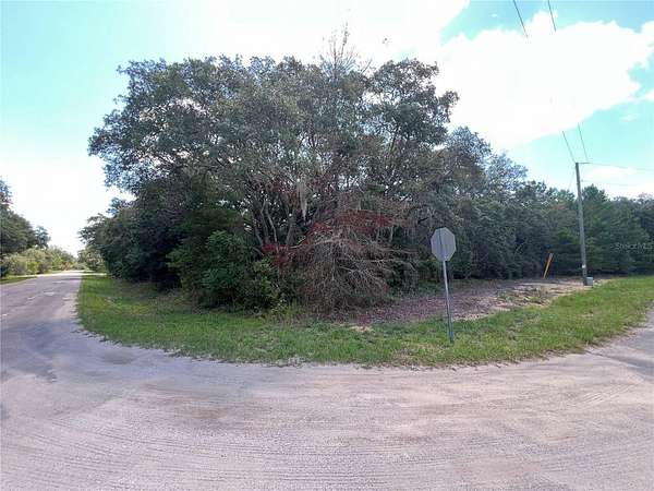 0.25 Acres of Land for Sale in Ocklawaha, Florida