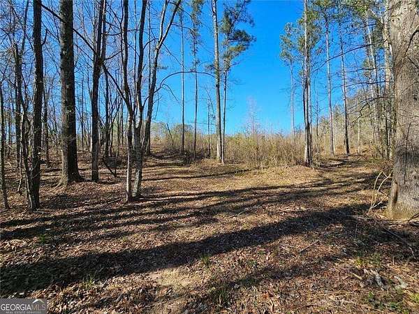 51.5 Acres of Recreational & Residential Land for Sale in Franklin, Georgia