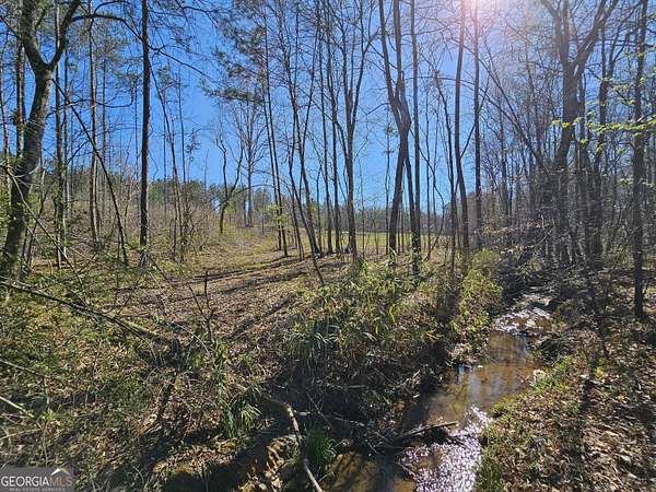 51.5 Acres of Recreational & Residential Land for Sale in Franklin, Georgia