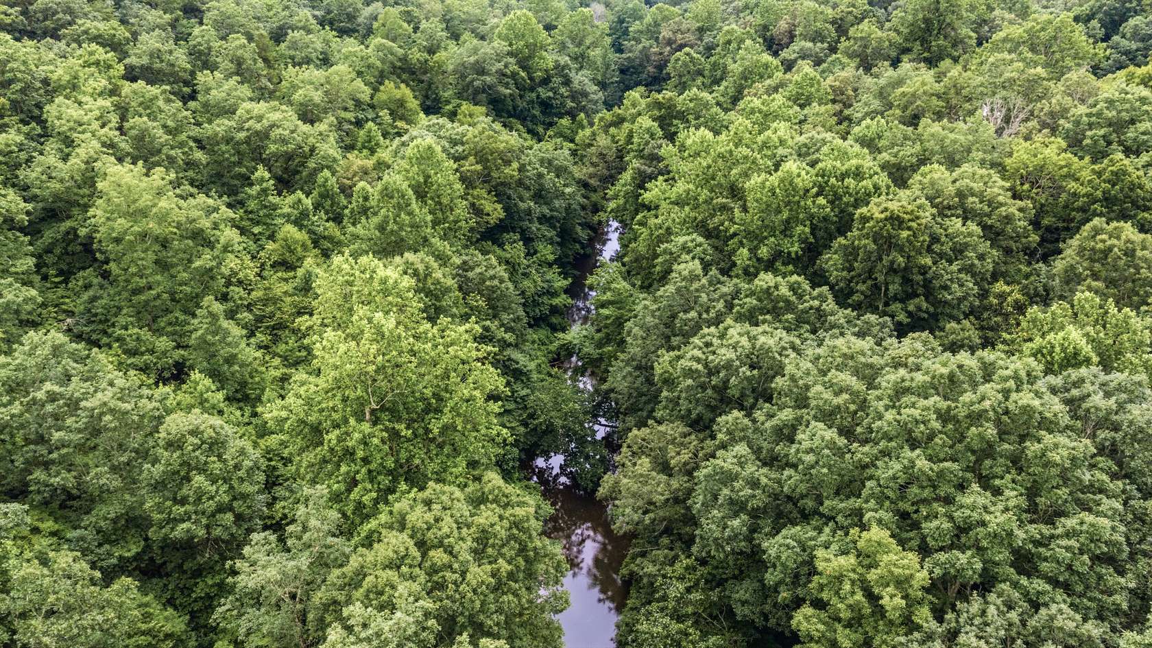 4.82 Acres of Residential Land for Sale in Mentone, Alabama