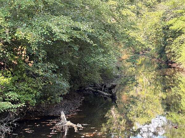4.9 Acres of Residential Land for Sale in Mentone, Alabama