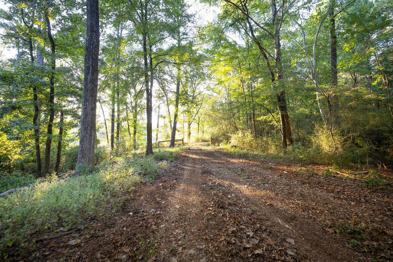 20 Acres of Land for Sale in Shelby, Alabama