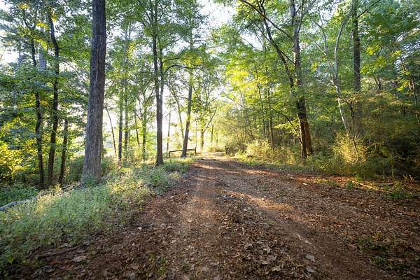 20 Acres of Land for Sale in Shelby, Alabama