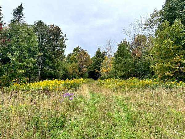 36.6 Acres of Recreational Land for Sale in West Turin Town, New York