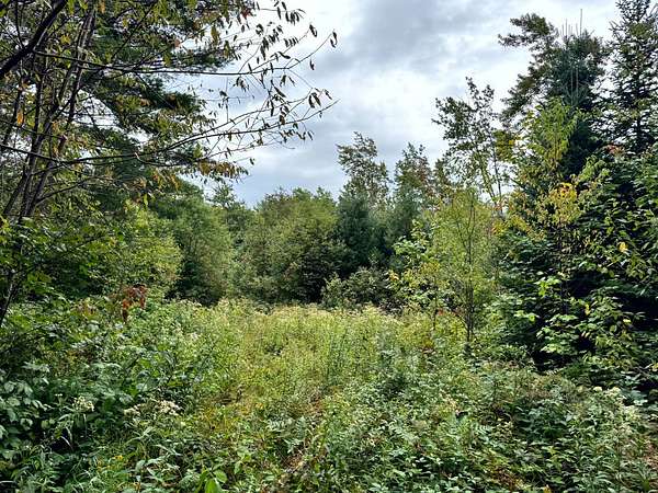 36.8 Acres of Recreational Land for Sale in West Turin Town, New York