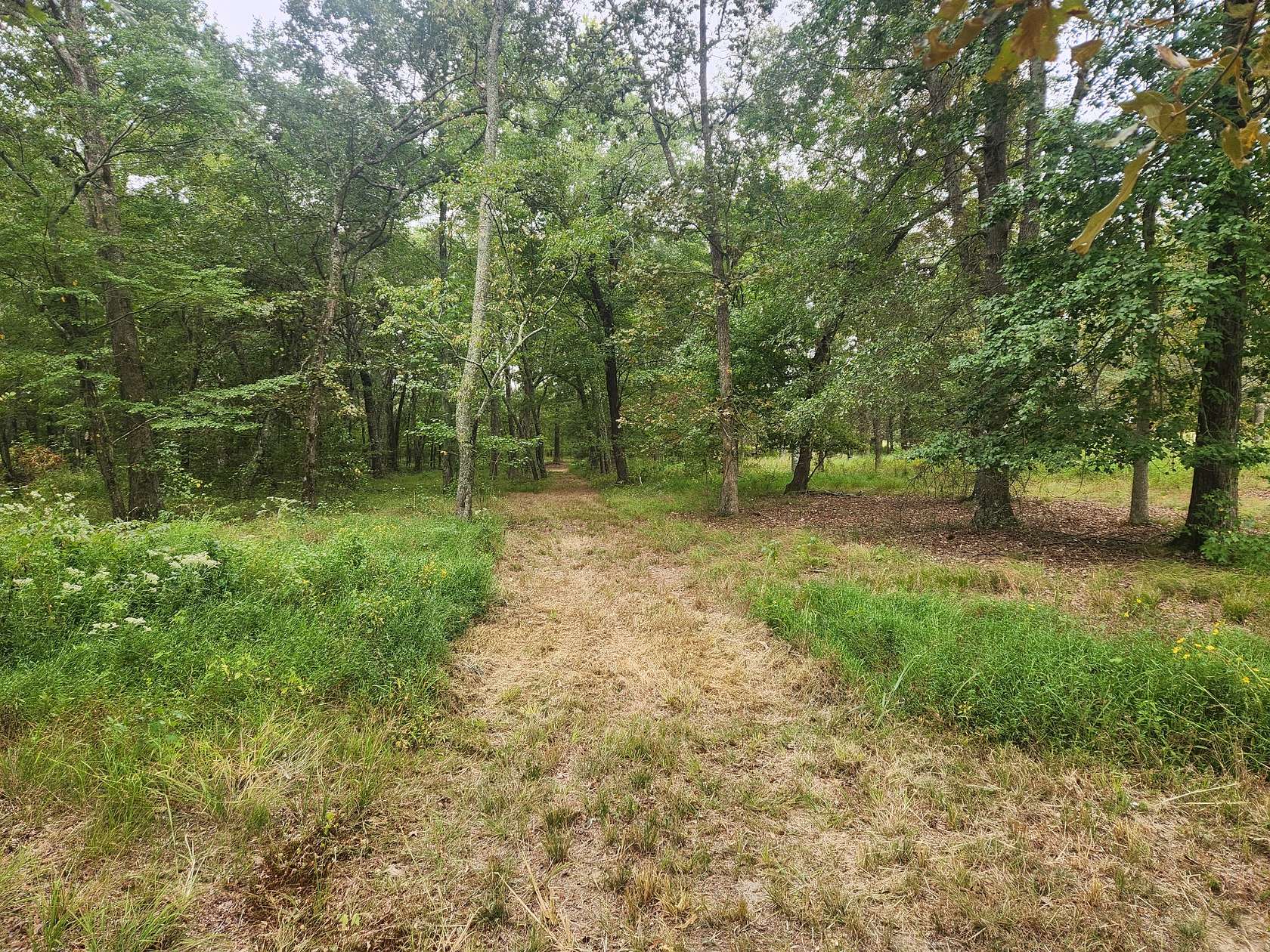 4.86 Acres of Residential Land for Sale in Manchester, Tennessee