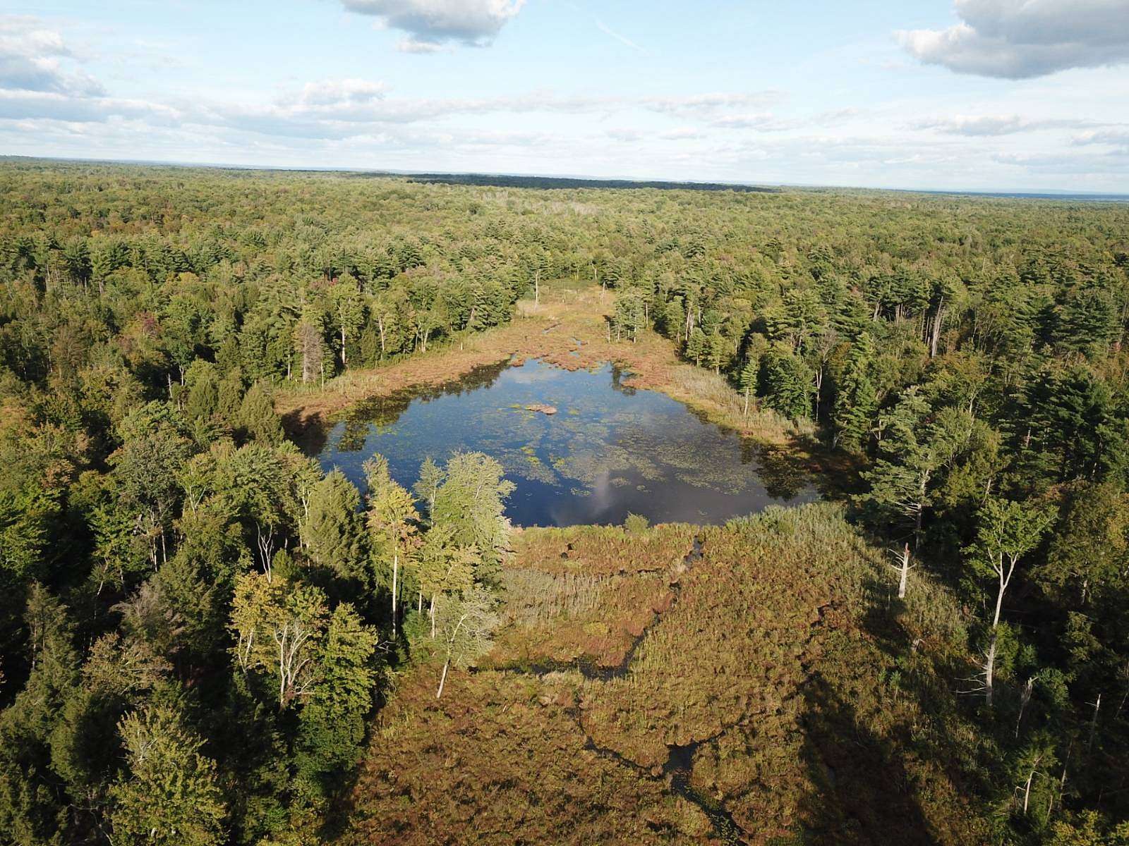 20 Acres of Recreational & Residential Land for Sale in Cleveland, New York