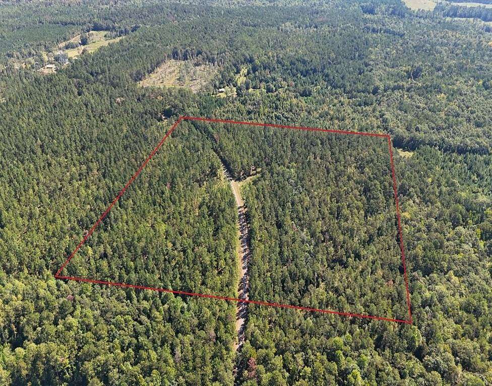 38 Acres of Land for Sale in Georgiana, Alabama