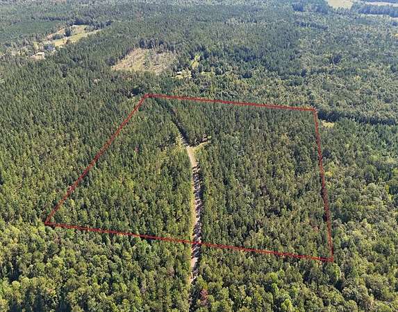 38 Acres of Land for Sale in Georgiana, Alabama