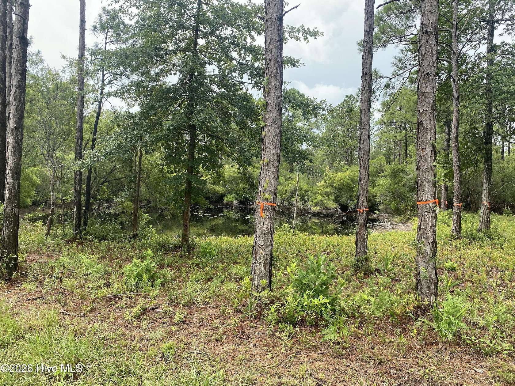 0.96 Acres of Residential Land for Sale in Boiling Spring Lakes, North Carolina