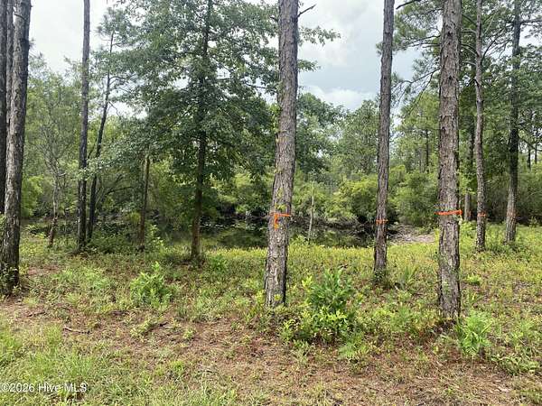 0.96 Acres of Residential Land for Sale in Boiling Spring Lakes, North Carolina