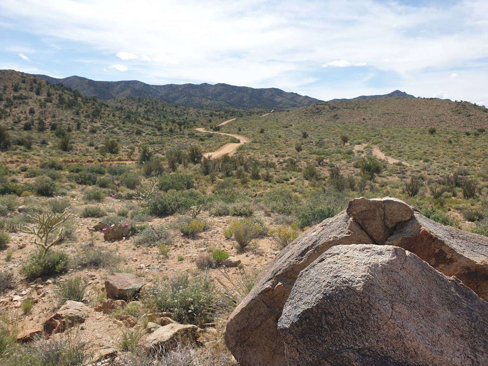 40.2 Acres of Recreational & Residential Land for Sale in Hackberry, Arizona