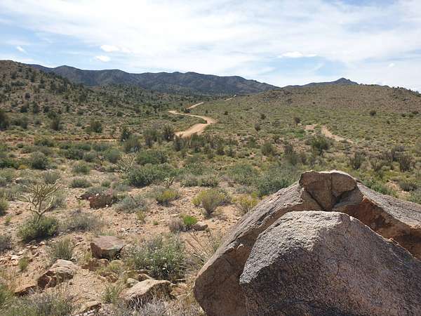 40.2 Acres of Recreational & Residential Land for Sale in Hackberry, Arizona