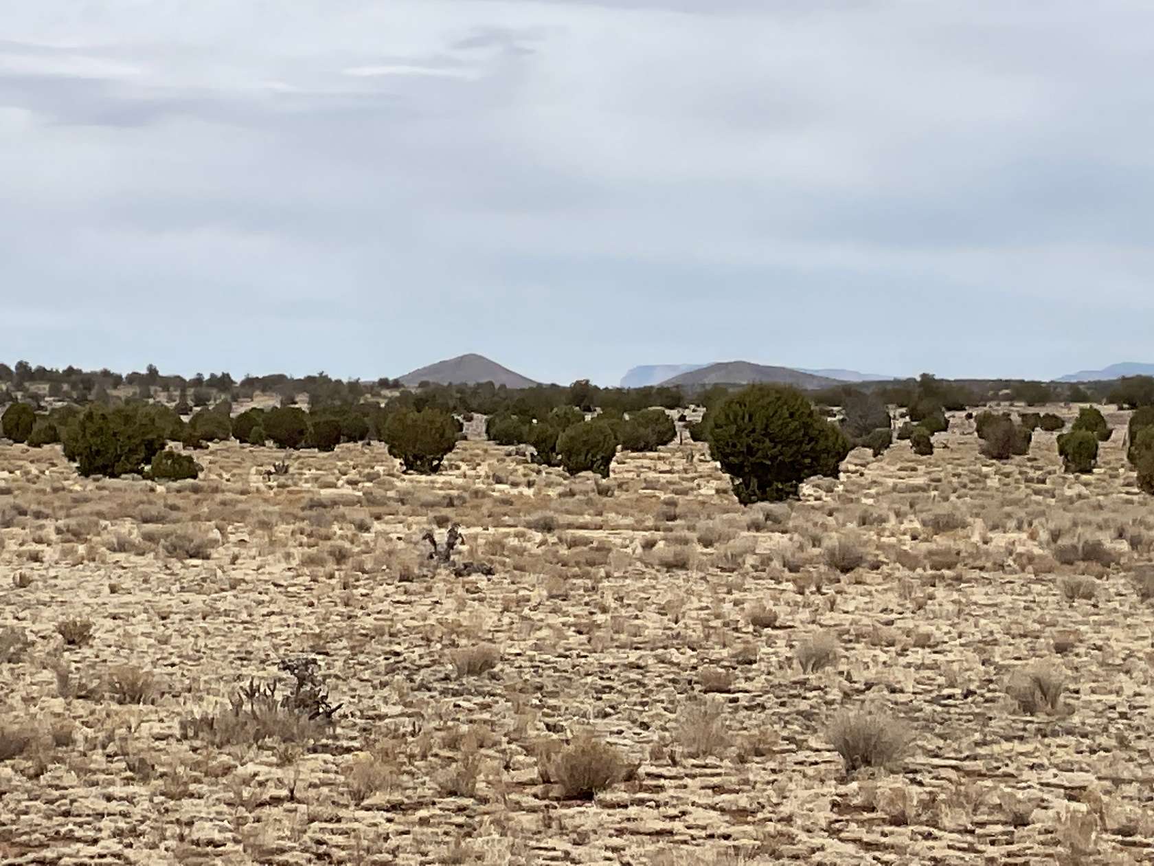 80 Acres of Land for Sale in Seligman, Arizona