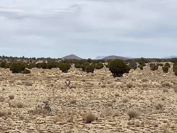80 Acres of Land for Sale in Seligman, Arizona