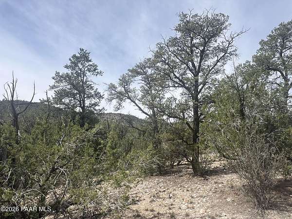 36.4 Acres of Recreational Land for Sale in Seligman, Arizona