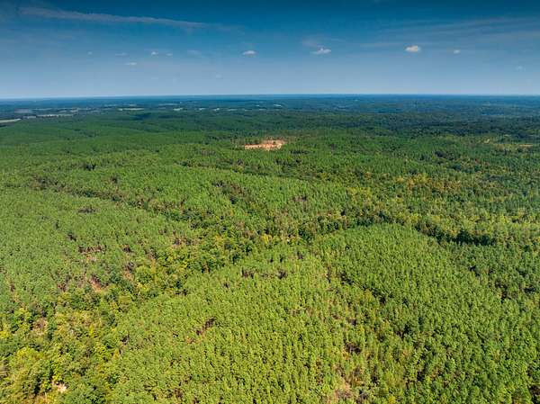 132 Acres of Recreational & Residential Land for Sale in Hohenwald, Tennessee