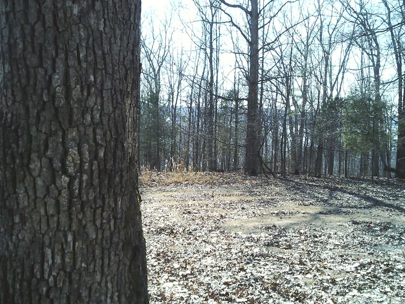 1.33 Acres of Residential Land for Sale in Dover, Tennessee