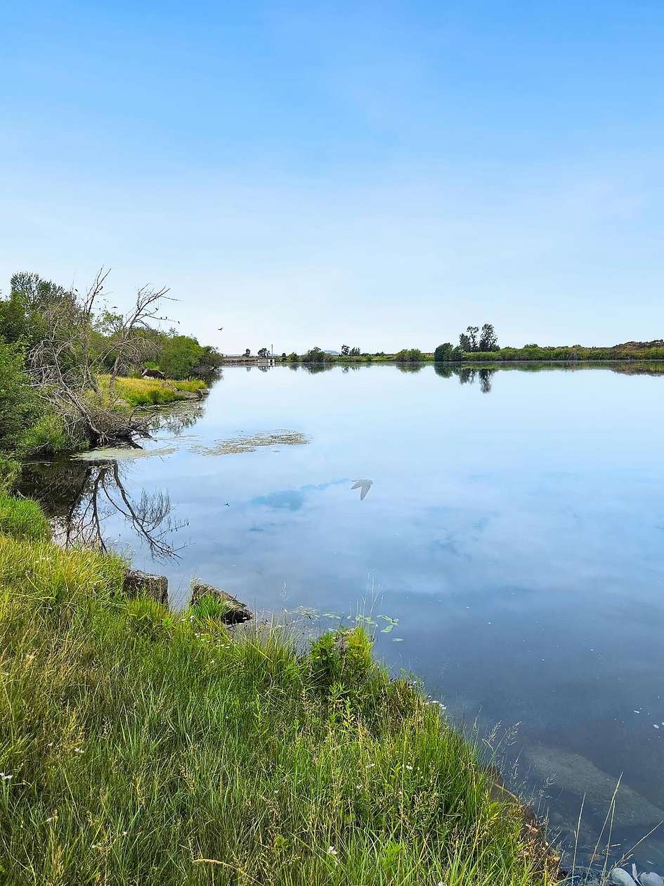 224 Acres of Land for Sale in Chester, Idaho