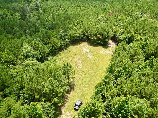 146 Acres of Recreational Land for Sale in Georgiana, Alabama
