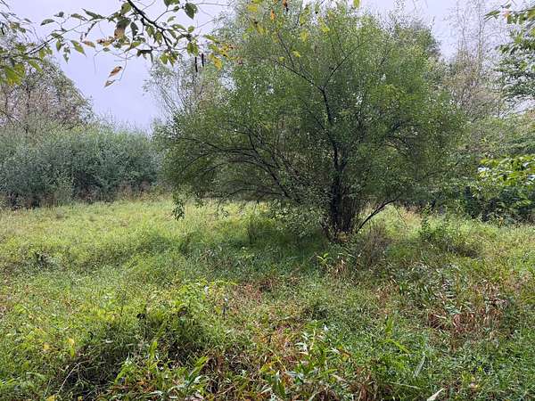 24.8 Acres of Land for Sale in Spencer, West Virginia