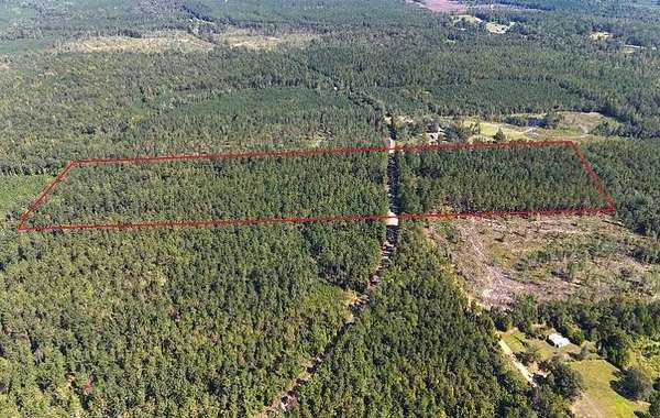 39 Acres of Land for Sale in Georgiana, Alabama
