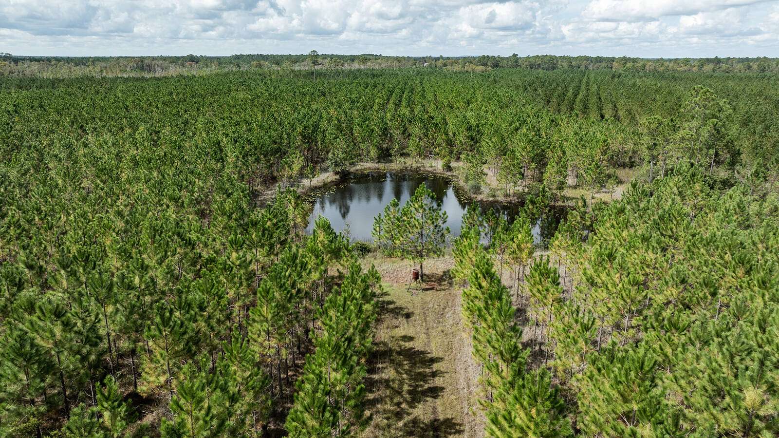 459 Acres of Land for Sale in Hilliard, Florida