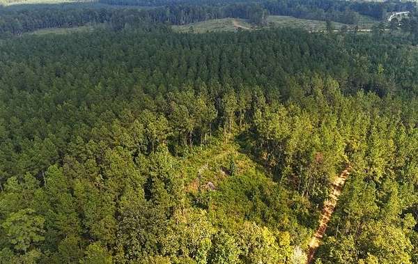 40 Acres of Recreational Land for Sale in Georgiana, Alabama