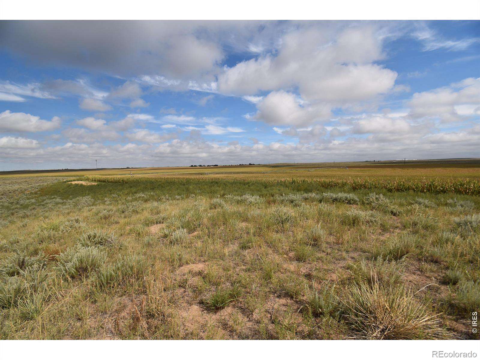 195 Acres of Agricultural Land for Sale in Yuma, Colorado